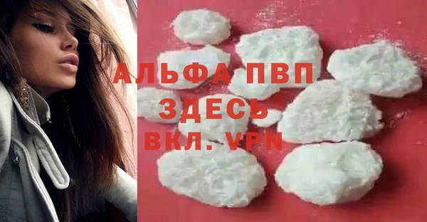 ешки Богданович