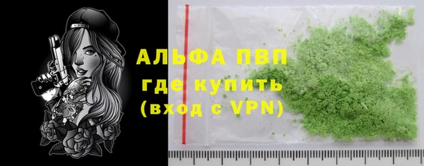ешки Богданович