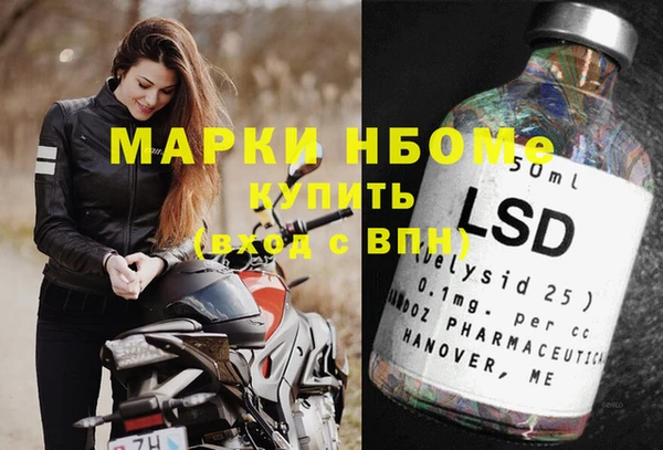 индика Богородск