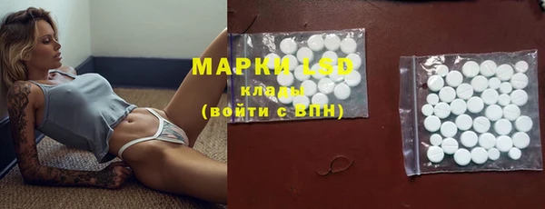 индика Богородск
