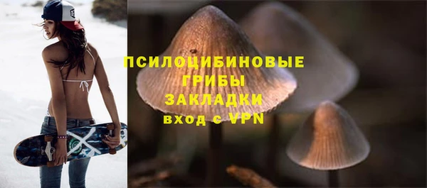 индика Богородск