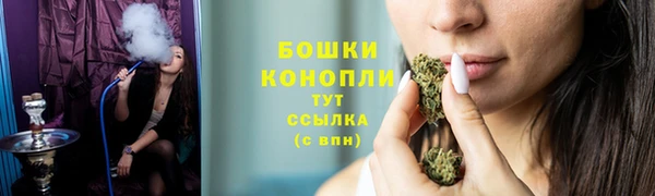 ешки Богданович