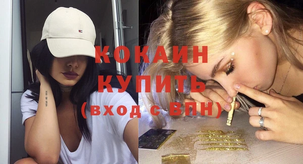 твердый Магас