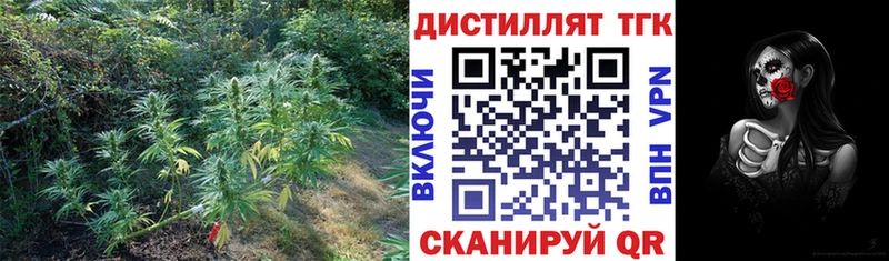 купить наркотики сайты  Велиж  ТГК жижа 